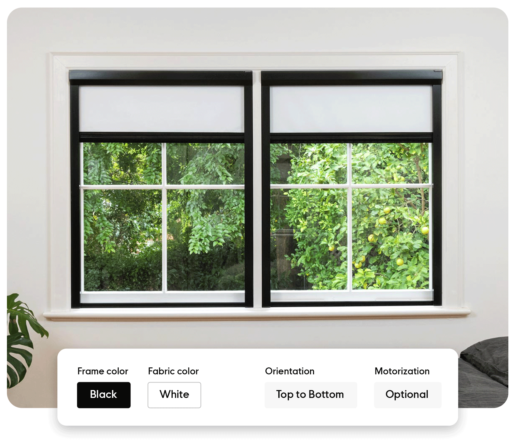 UBlockout product color options